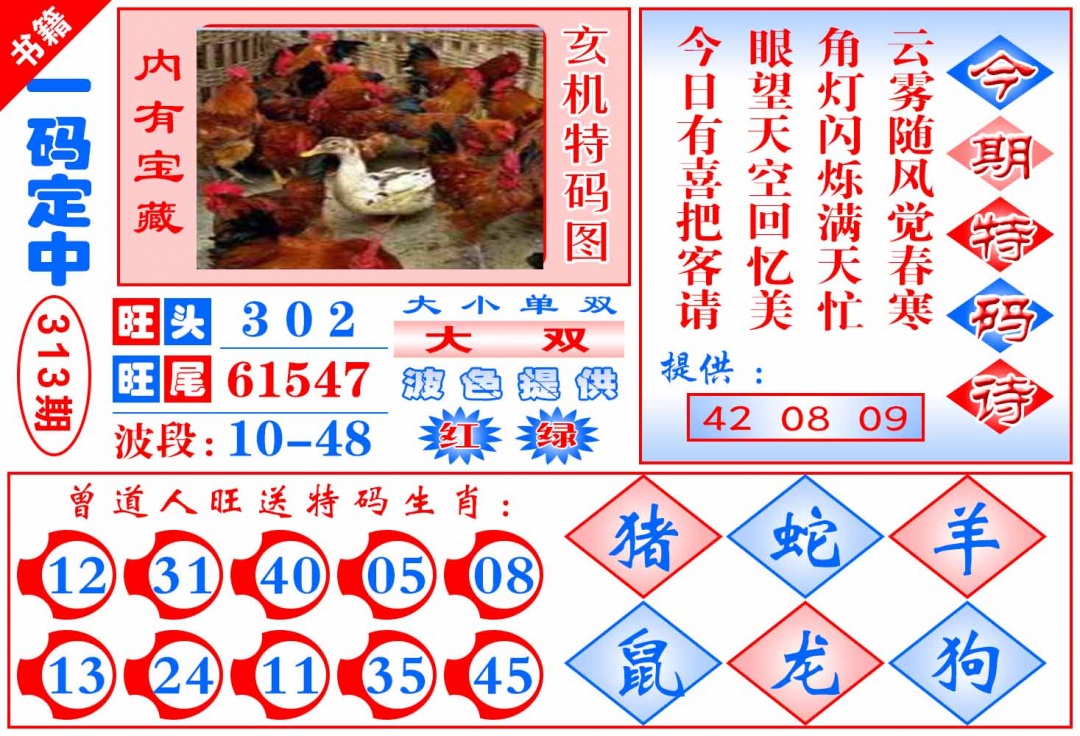 313期澳门定乾坤[图]