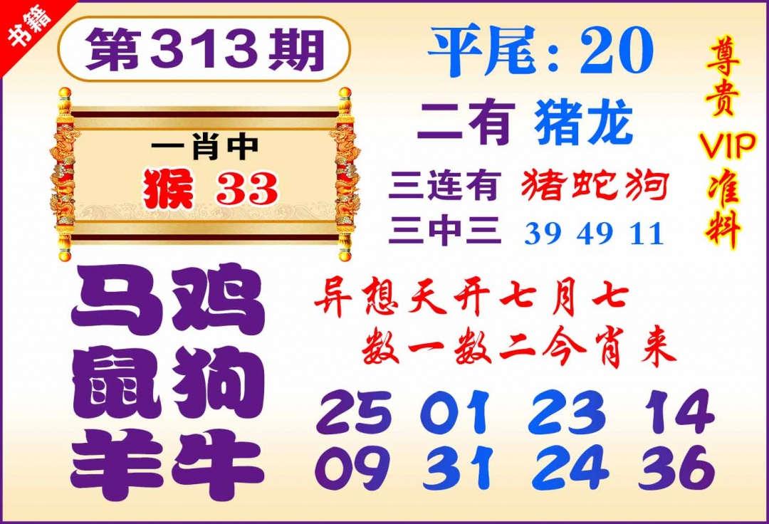 313期澳门九龙天书[图]