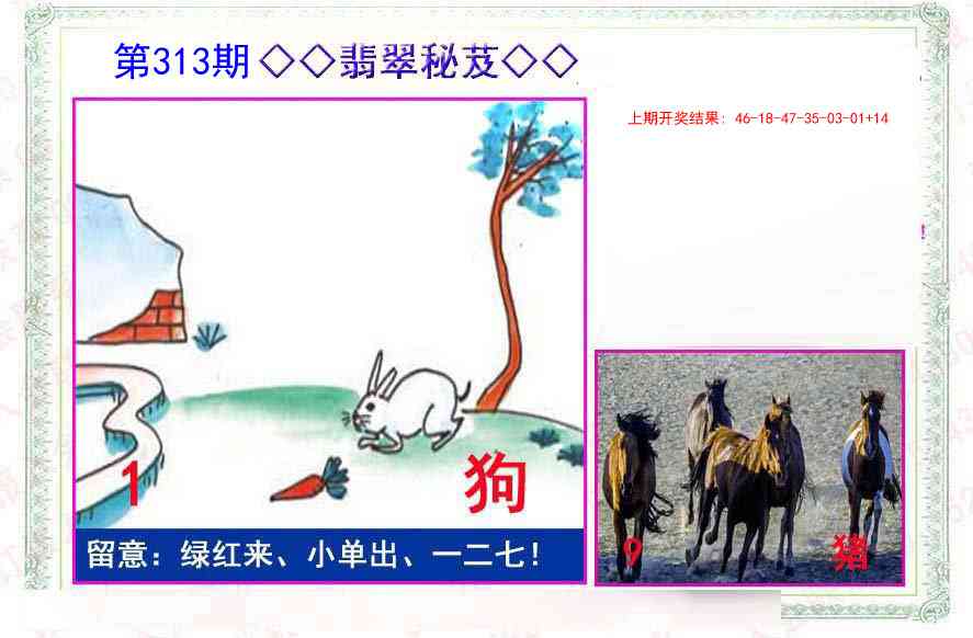 313期翡翠报[图]