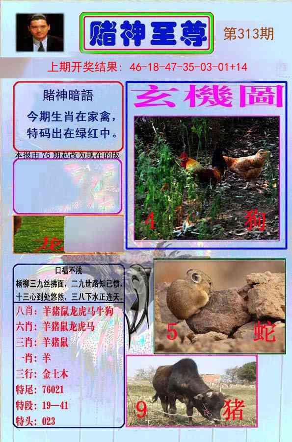 313期赌神至尊[图]