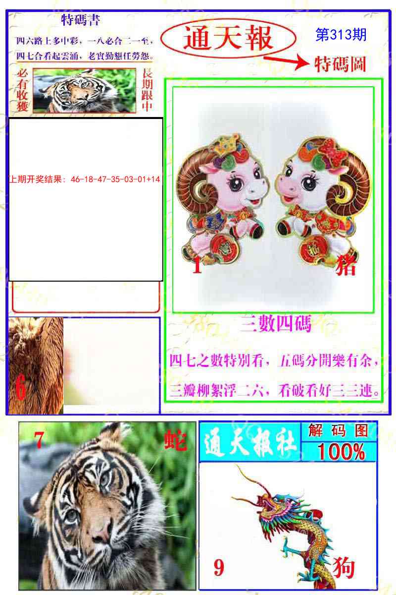 313期通天特解图[图]