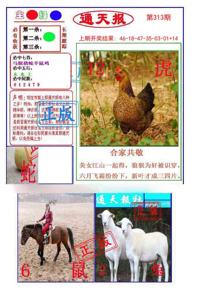 313期通天杀波图1[图]