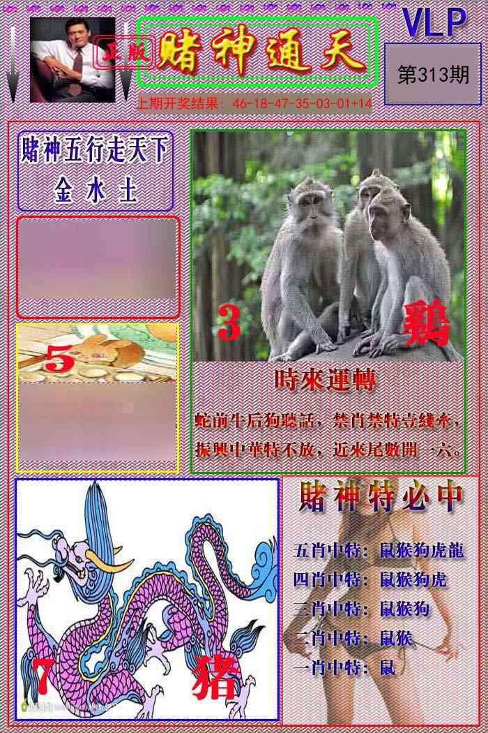 313期赌神通天报[图]