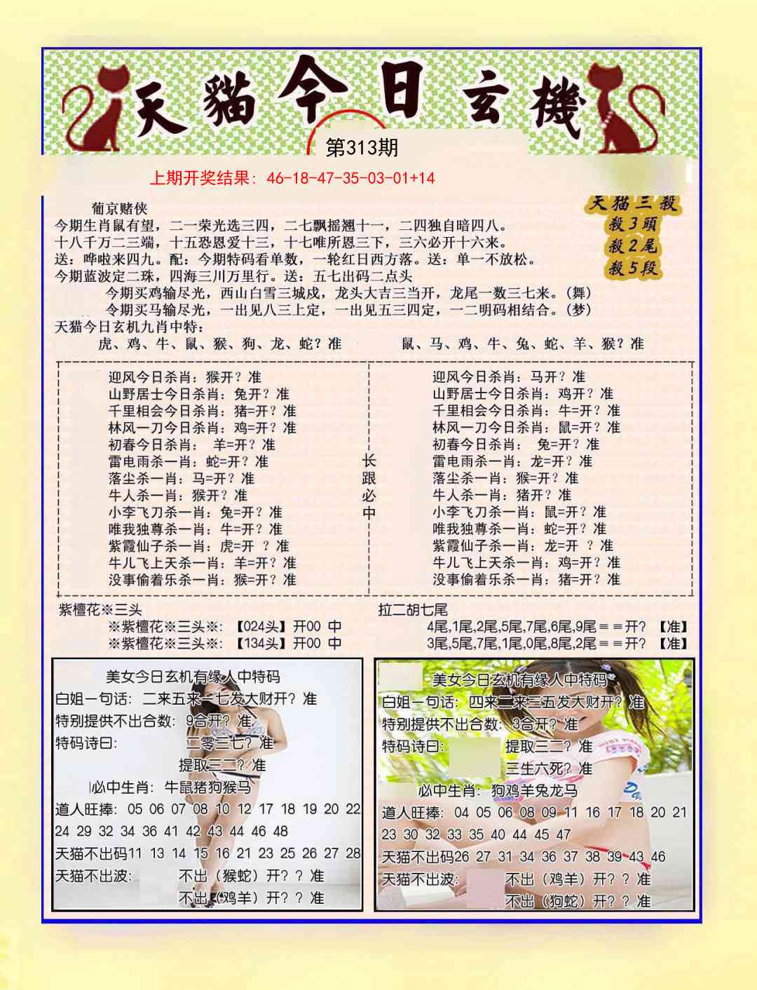 313期今日玄机图B[图]