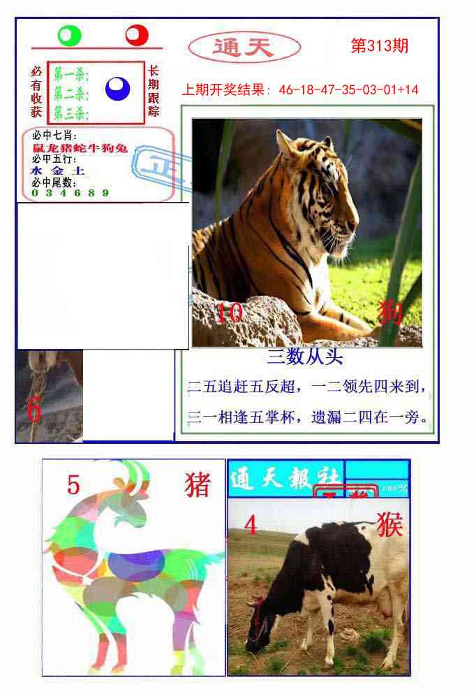 313期通天杀波图2[图]