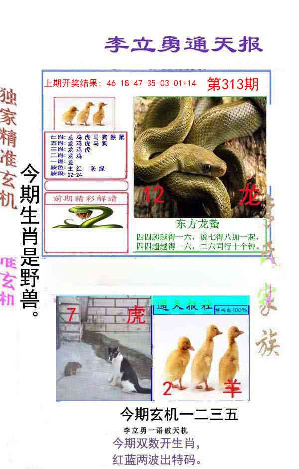 313期李立勇通天报[图]