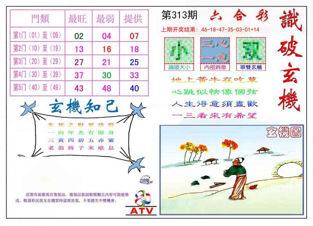 313期识破玄机[图]