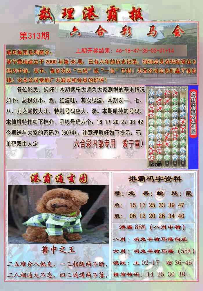 313期港霸报[图]