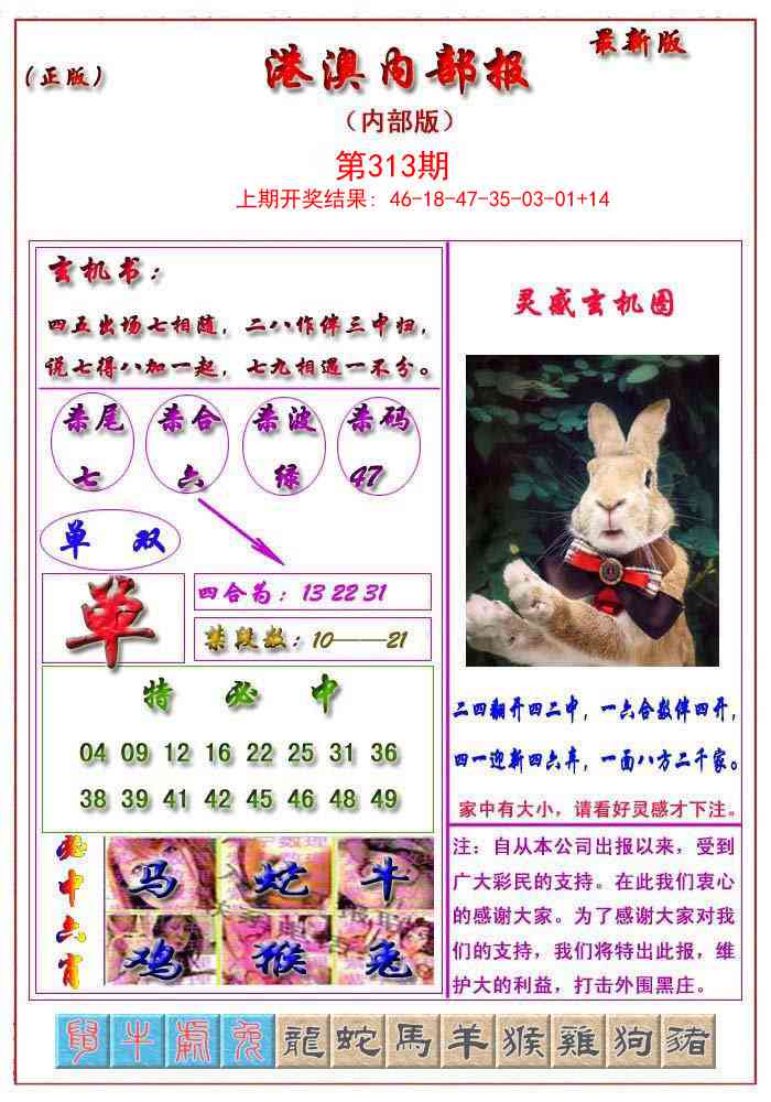 313期港澳报[图]