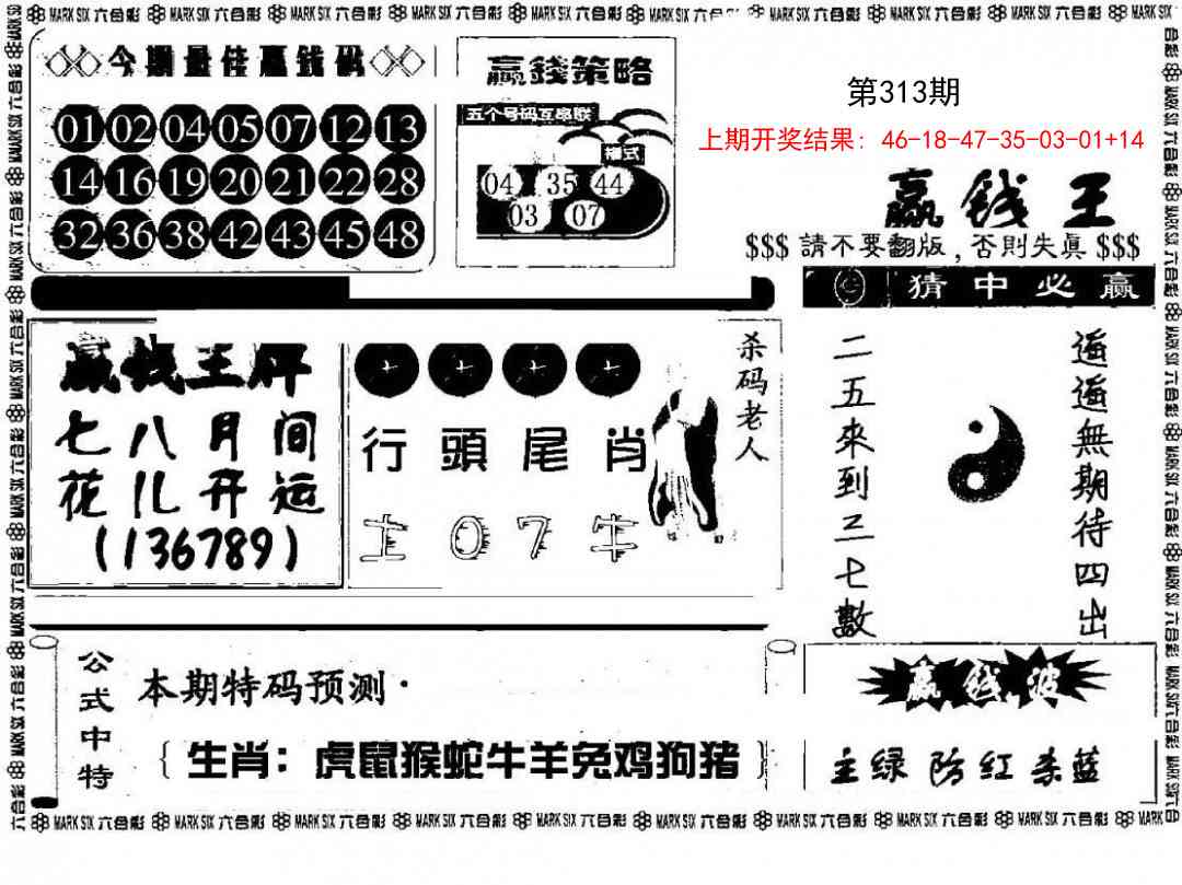 313期赢钱料[图]