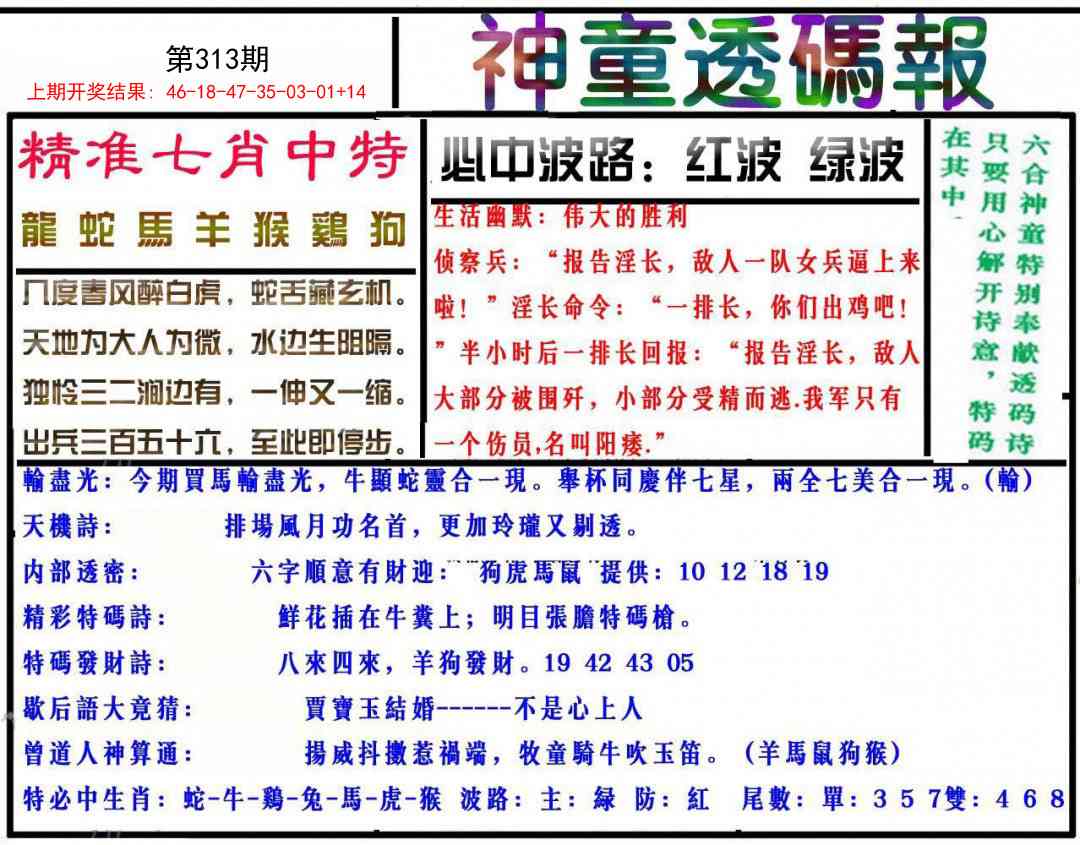 313期神童透码报[图]