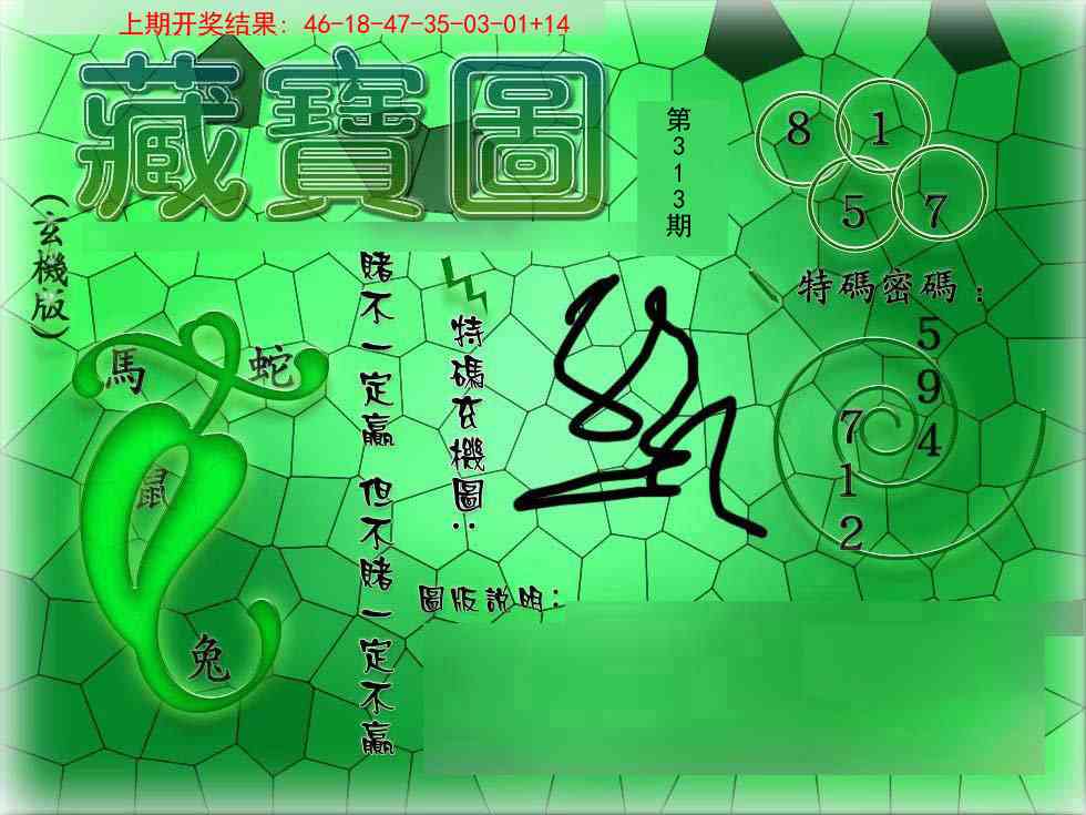 313期九龍玄机报[图]