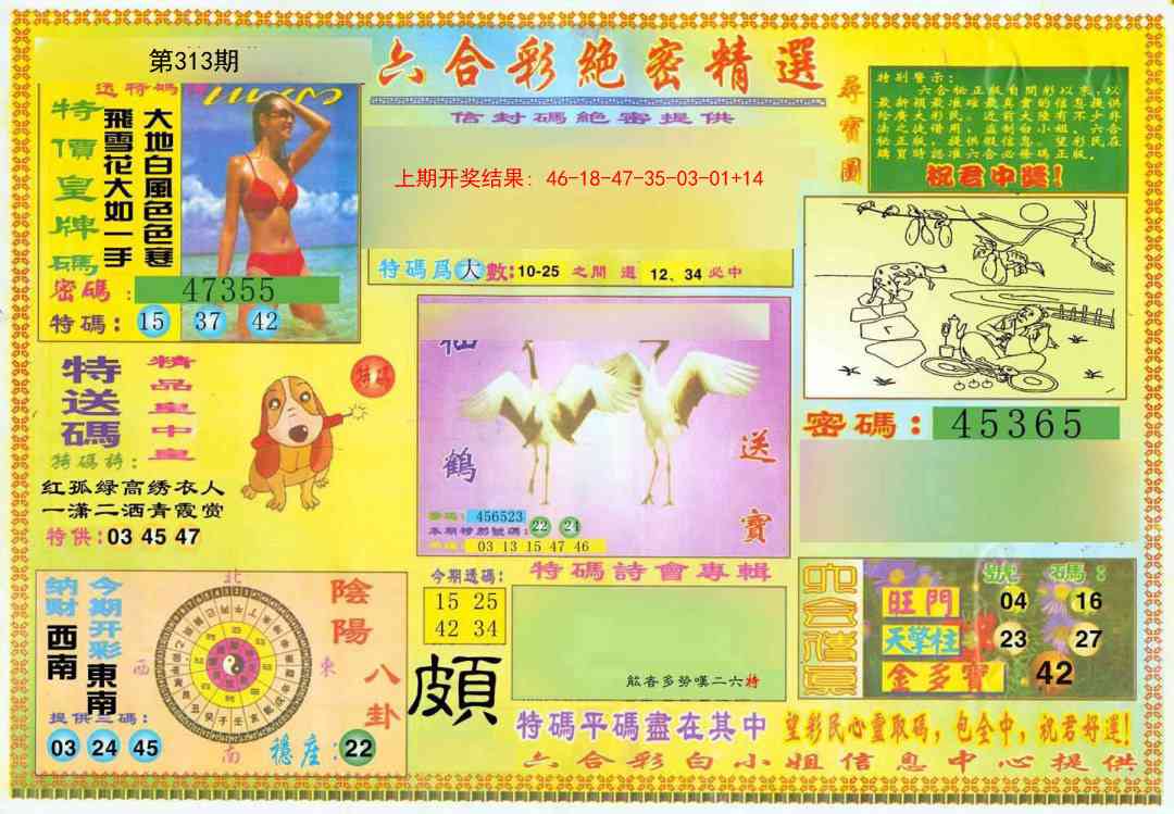 313期绝密精选A[图]