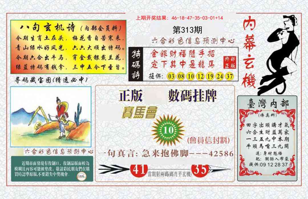 313期内幕玄机报[图]