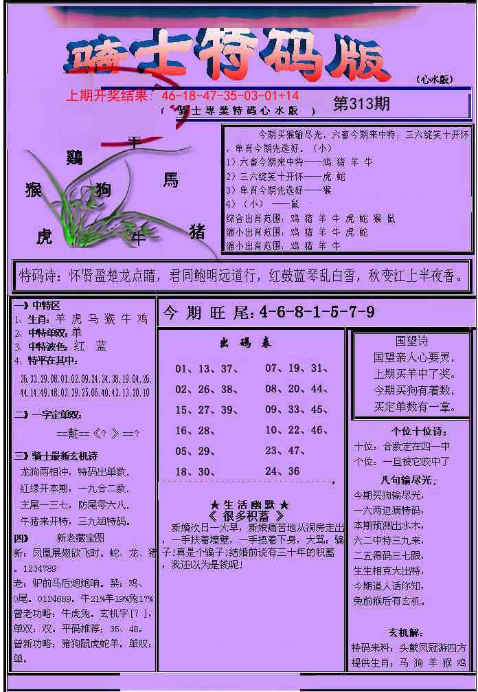 313期骑士特码版[图]