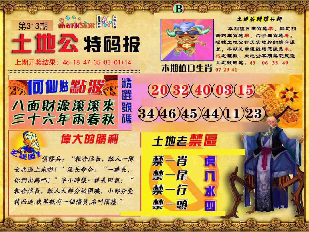 313期土地公特码报B[图]