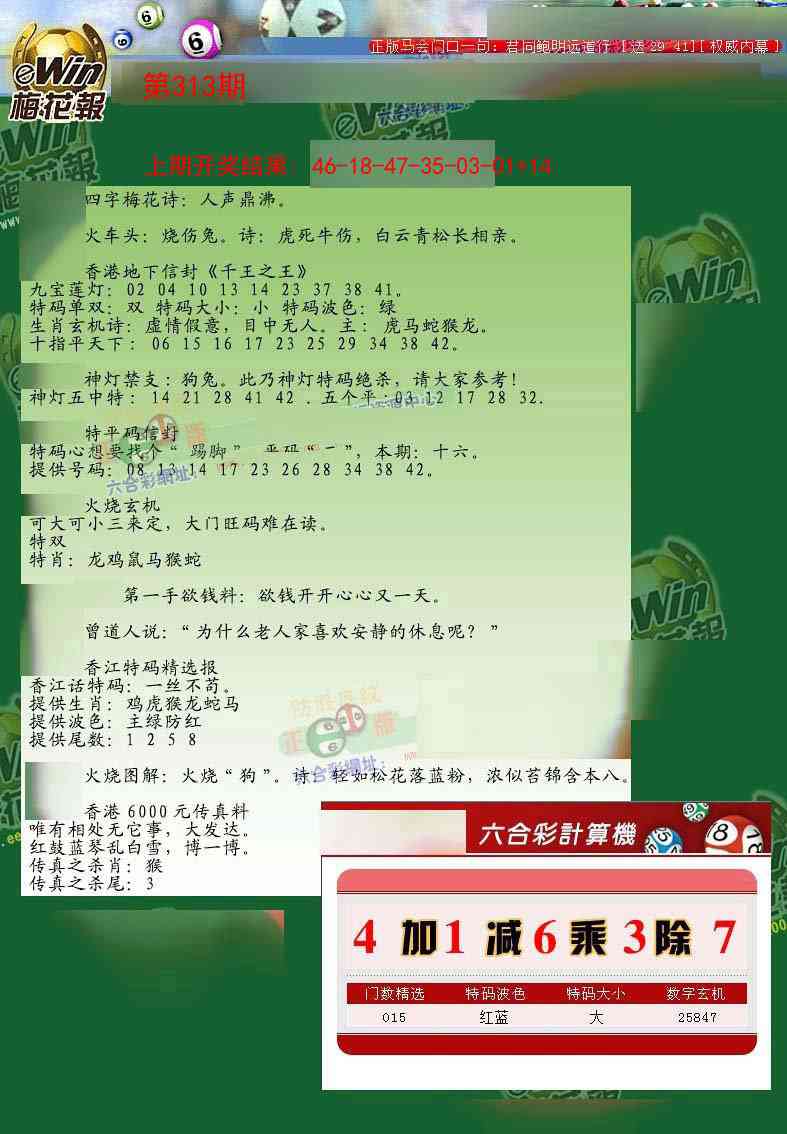 313期梅花报[图]