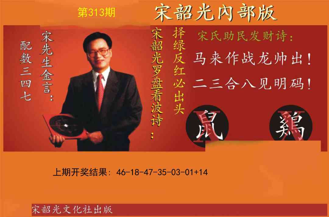 313期宋韶光内部版[图]