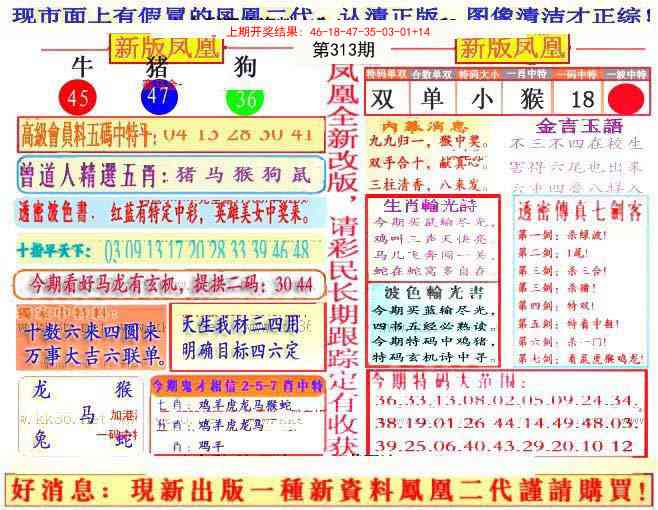 313期另二代凤凰报[图]