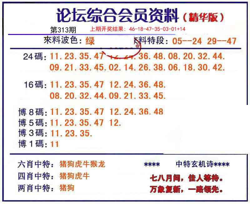 313期综合会员资料[图]