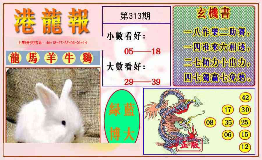 313期港龙报[图]