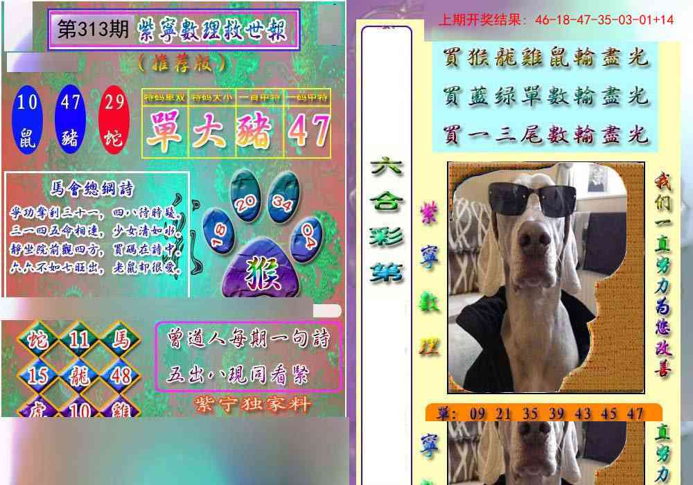 313期数理救世报[图]