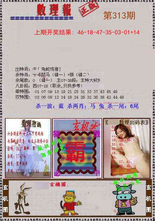313期数理报[图]
