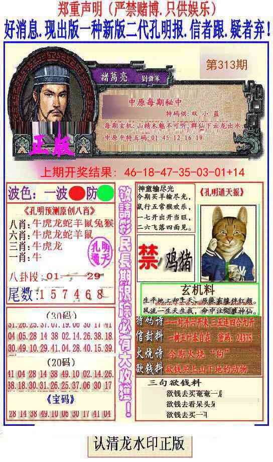 313期另二代孔明报[图]