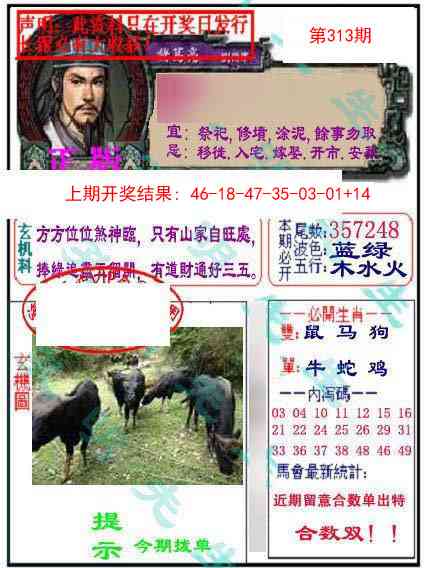 313期正版孔明报[图]