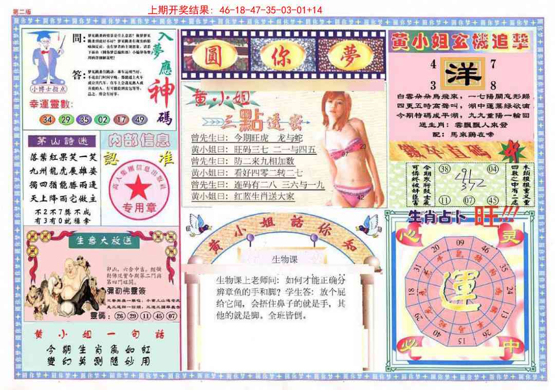 313期(新版)六合圆你梦B[图]