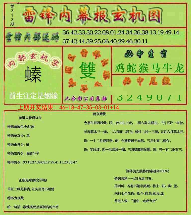 313期雷锋玄机报[图]