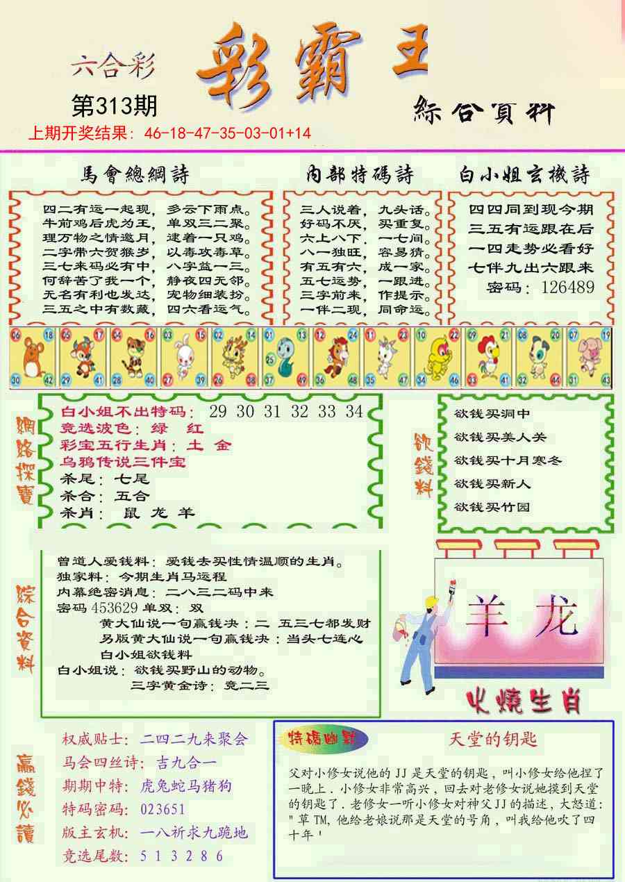 313期精装彩霸王彩[图]