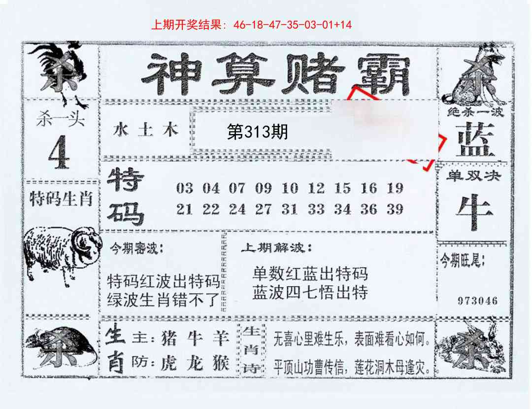 313期神算赌霸[图]