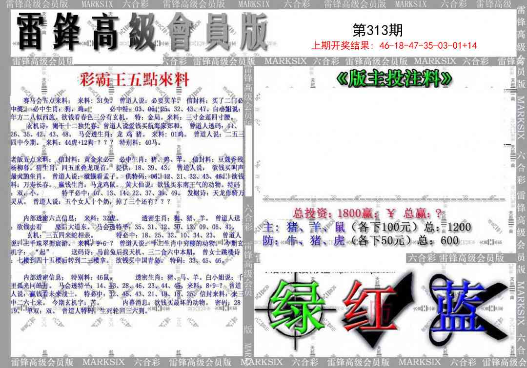 313期(假)雷锋高级会员版[图]