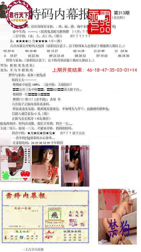 313期特码内幕报[图]