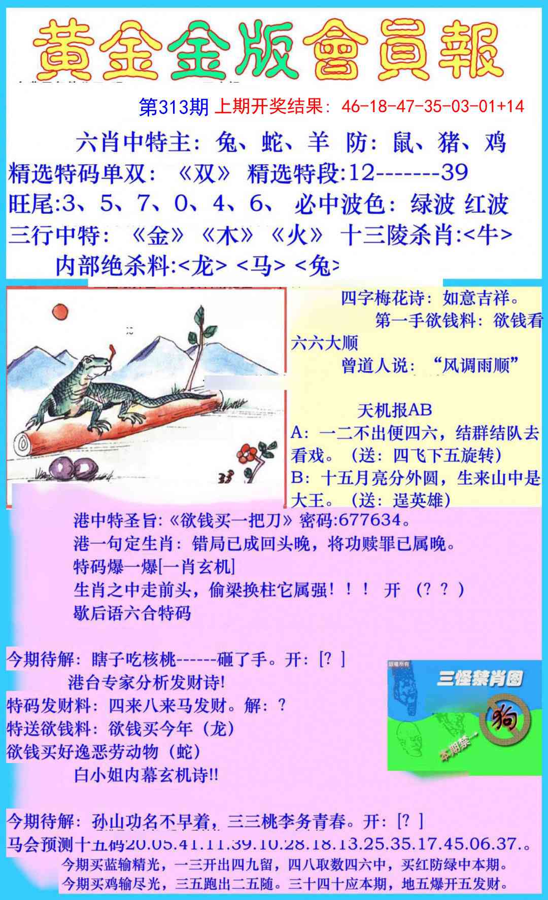 313期黄金金版会员报[图]