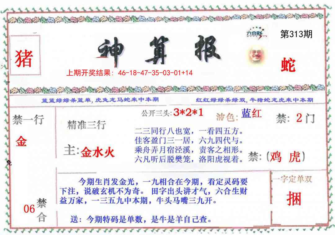 313期神算报[图]