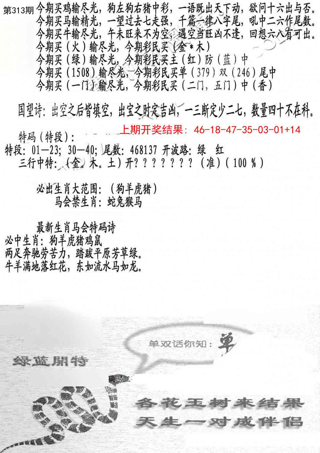 313期蛇报B[图]