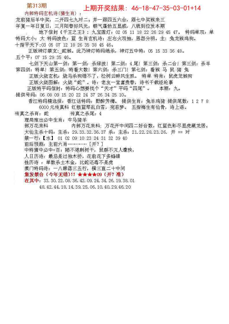 313期五星报B[图]