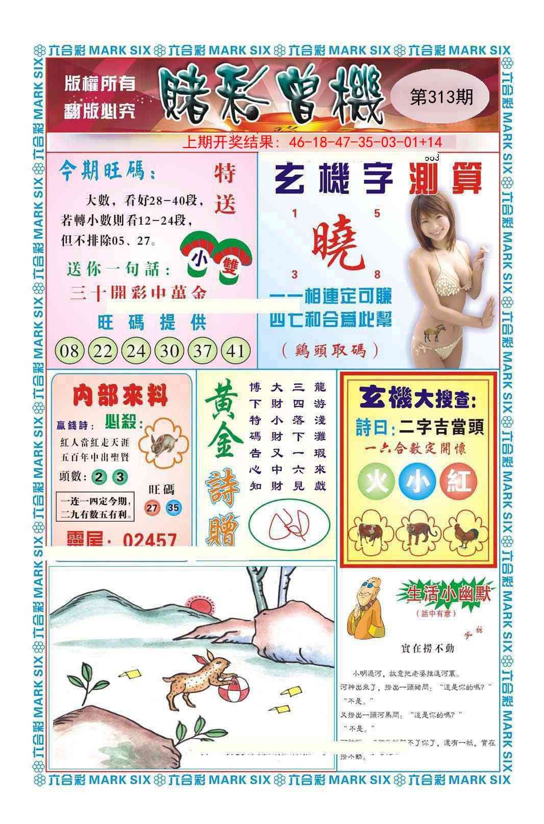 313期赌彩曾机[图]