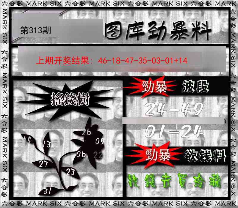 313期劲暴来料[图]