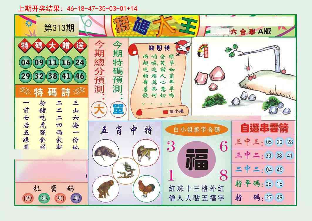 313期特码大王A[图]