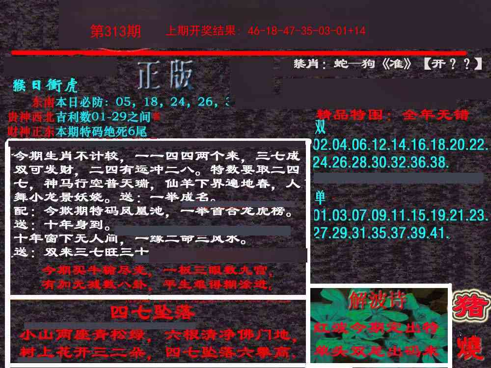 313期新港内幕[图]
