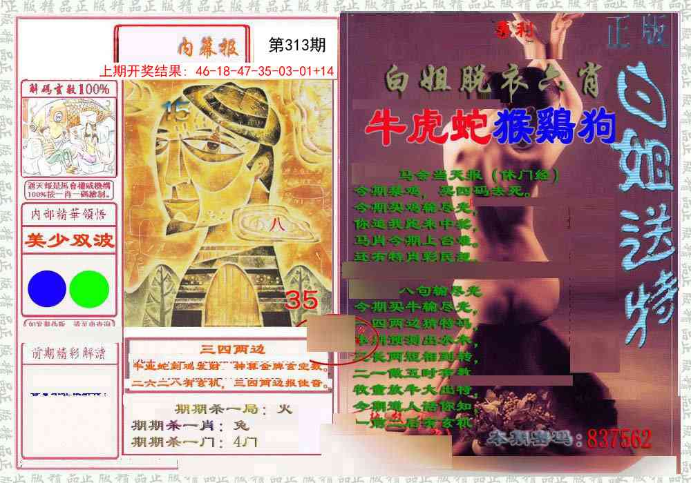 313期日月内幕报[图]