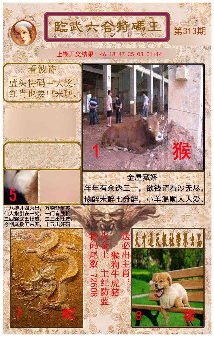 313期临武六合特码王[图]