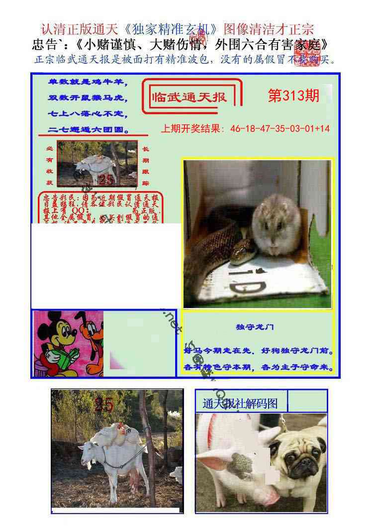 313期临武通天报[图]