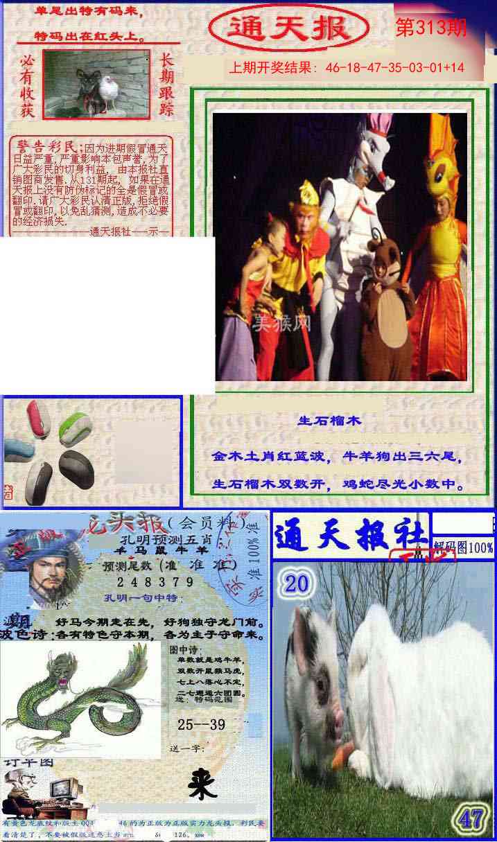 313期实力通天报[图]