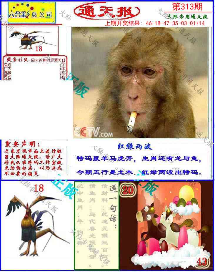 313期大陆通天报[图]