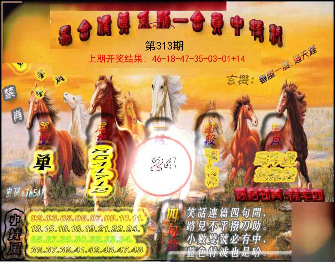 313期马会传真-会员报[图]