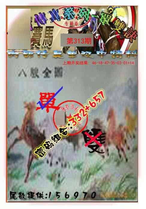 313期马会传真-单双诀[图]